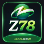 Z78 Game