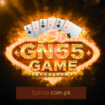 GN55 Game